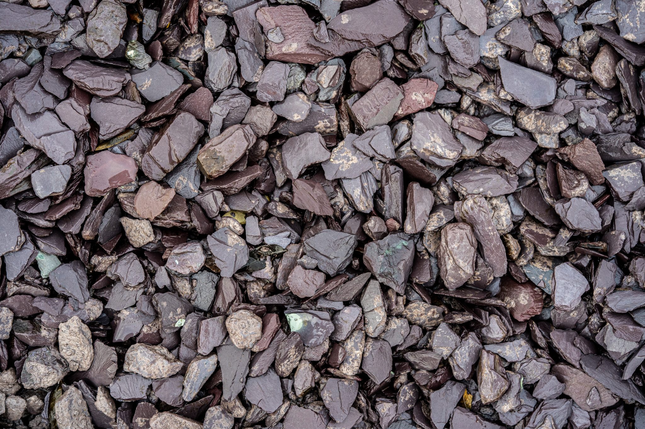 Grey Blue Slate Chippings - UK Wide Delivery | Buy Online Today