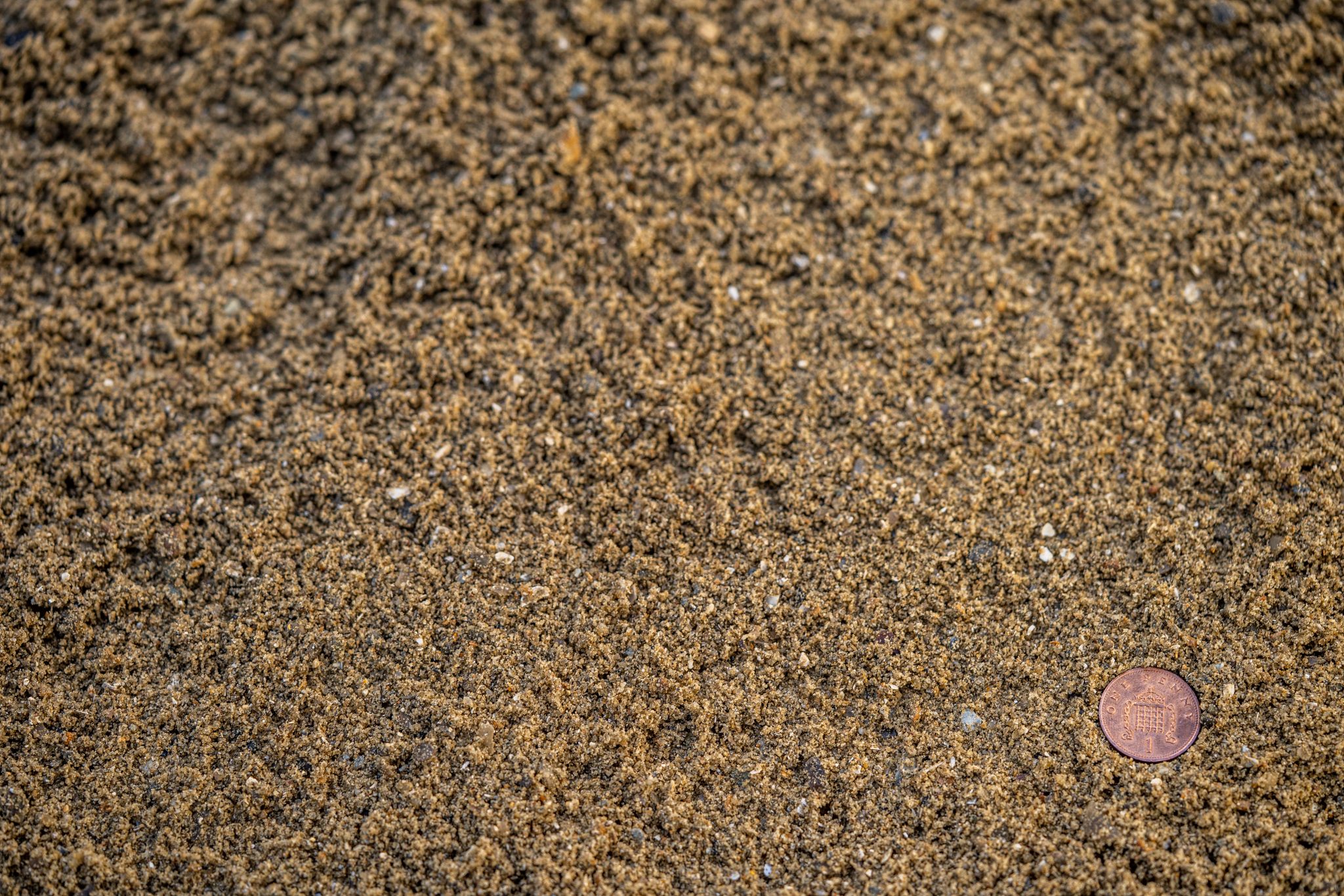 Sharp Sand UK Wide Delivery Buy Online Today Corker.co.uk