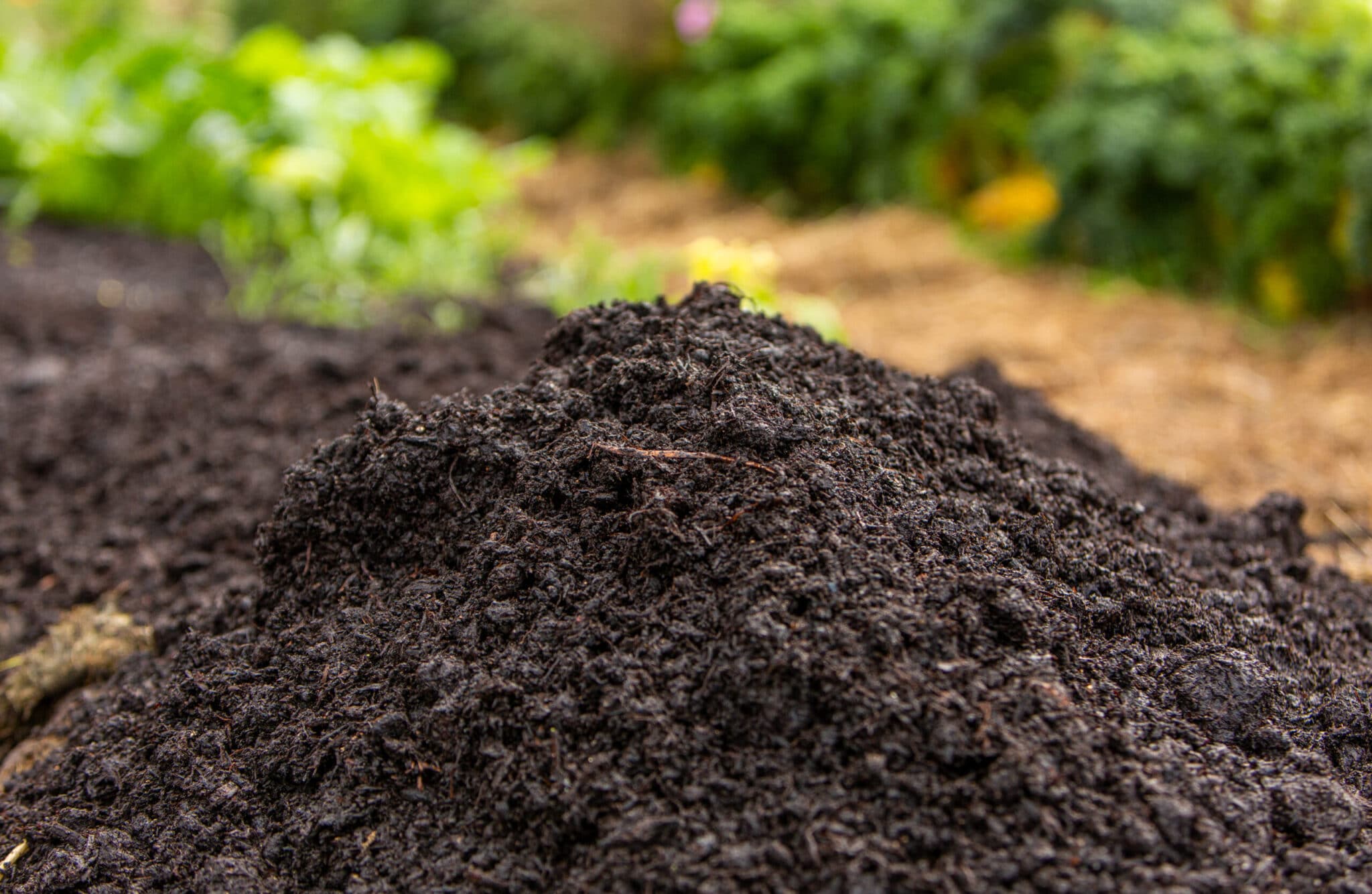 Topsoil vs Compost - Compost heap