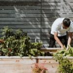 Beginners Guide to Vegetable Growing