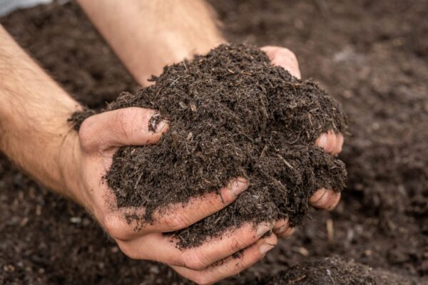 Green Compost