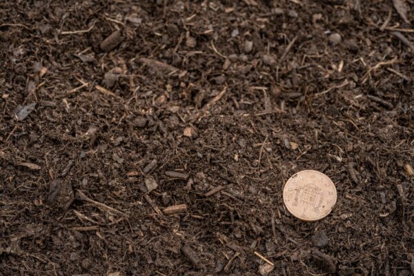 Green Compost