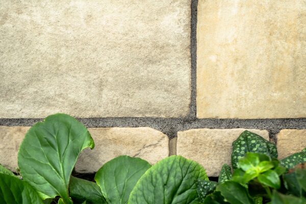 Mint Sandstone Paving