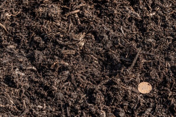 Mushroom Compost