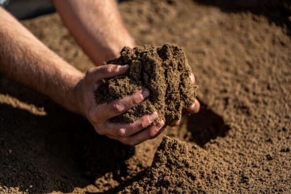 Rootzone Soil