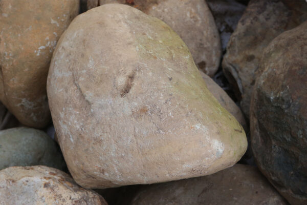 Scottish Boulders