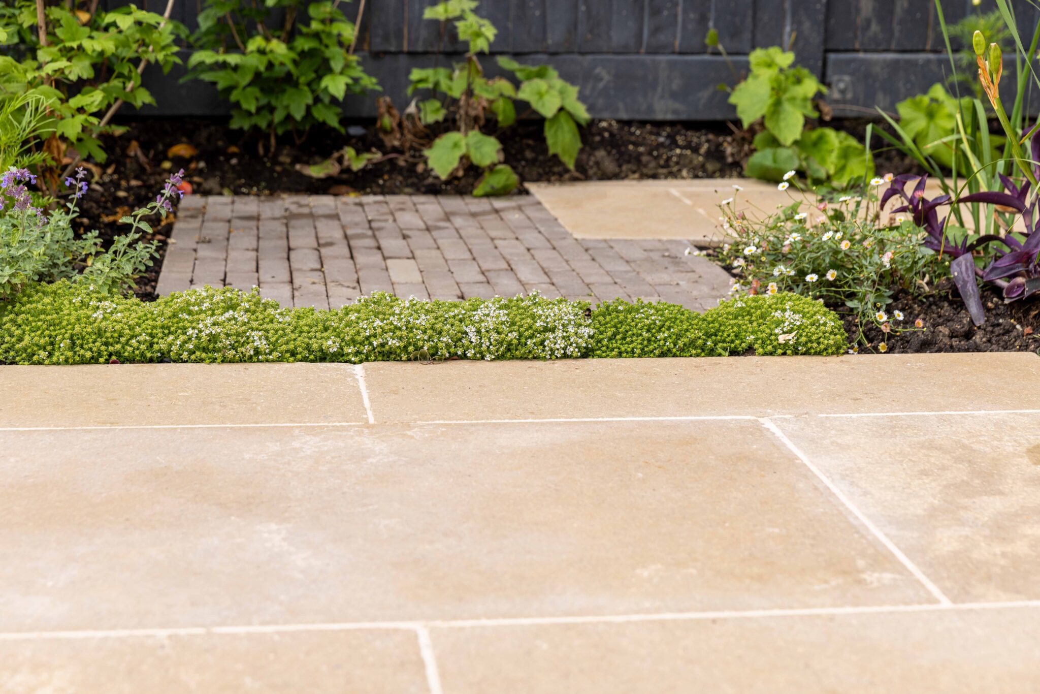 Dune Pearl Antique Limestone Paving - Image 12