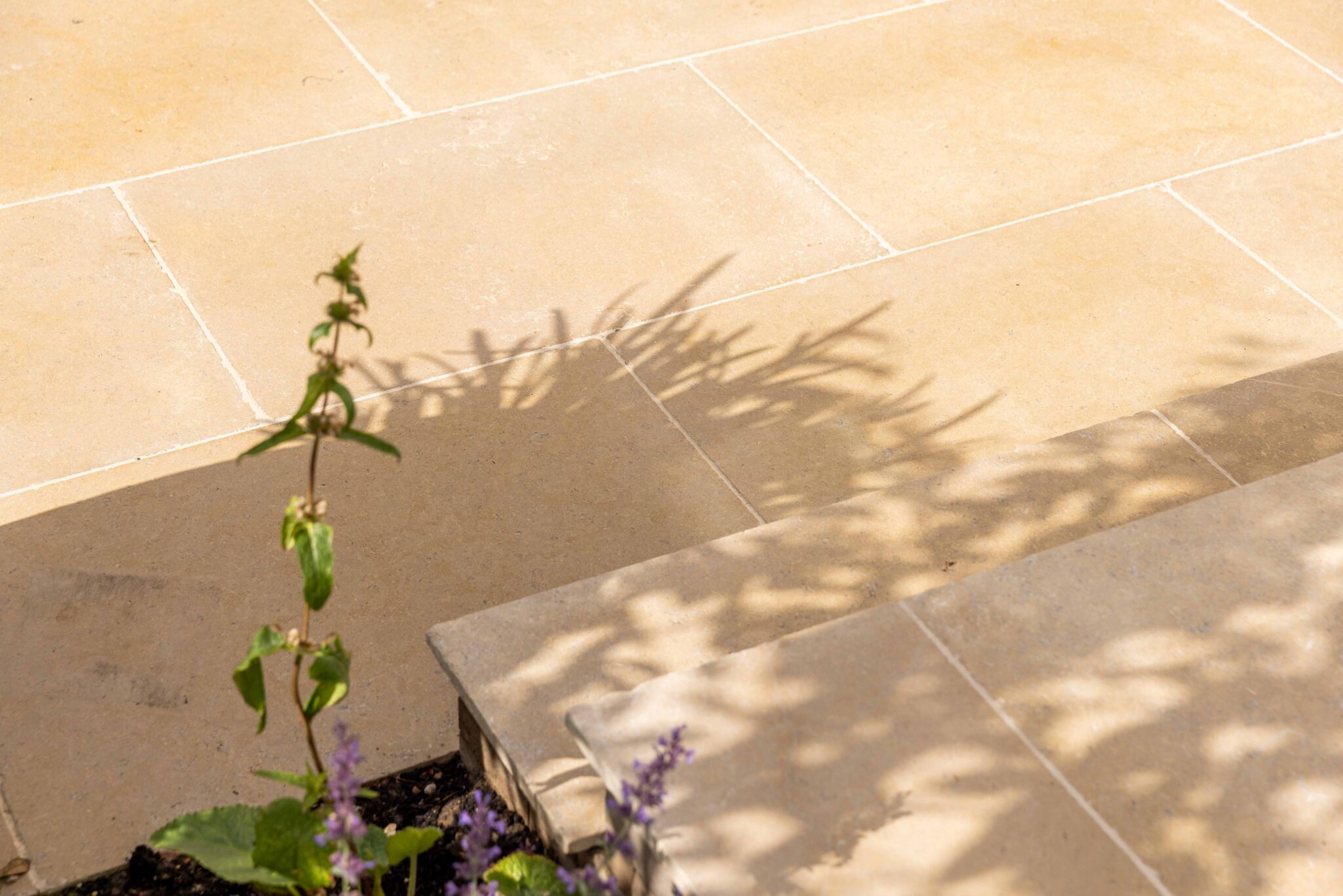 Dune Pearl Antique Limestone Paving - Image 16