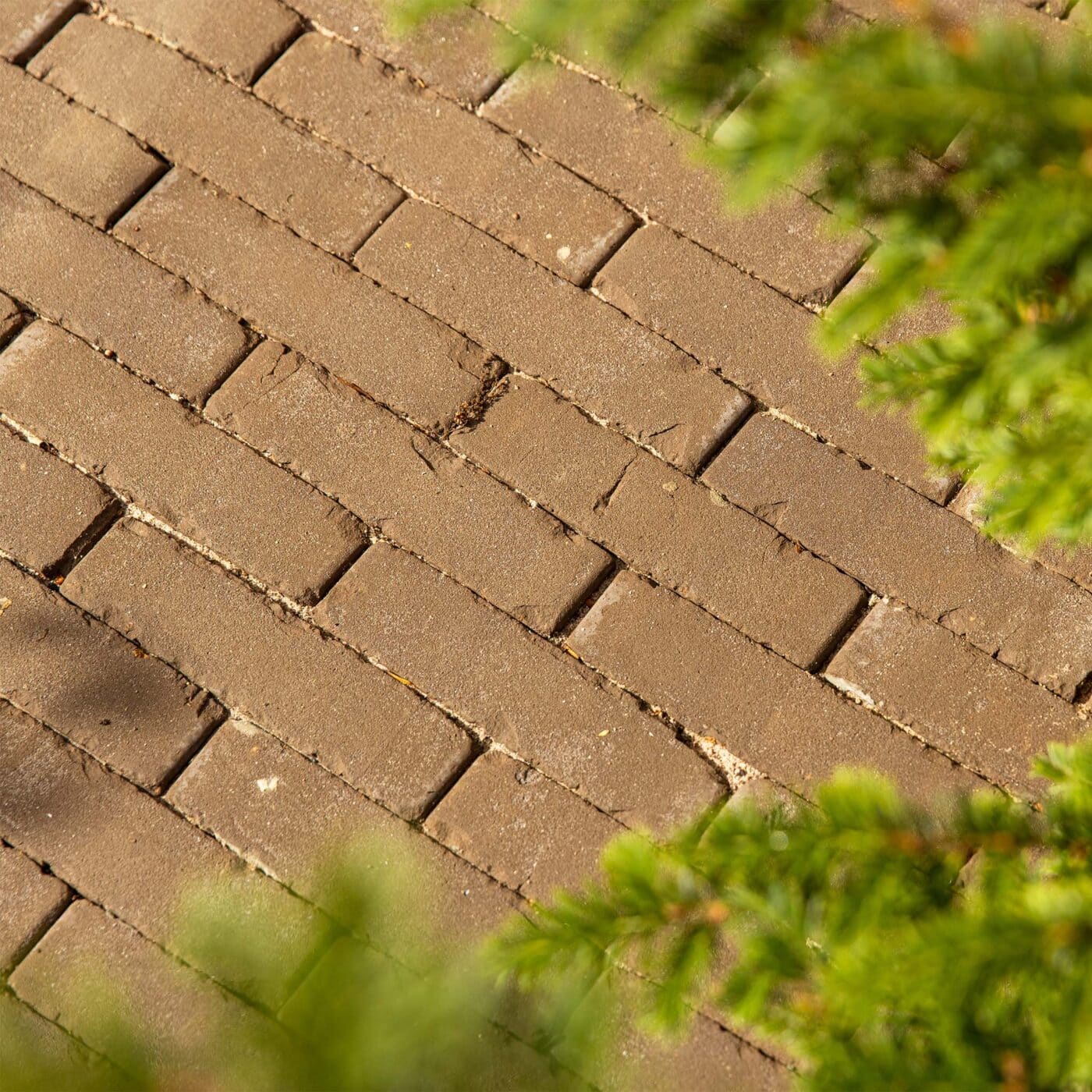 Falmer Clay Paver UK Wide Delivery Buy Online Today Corker.co.uk