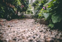 Low down photo of a garden with gravel paths