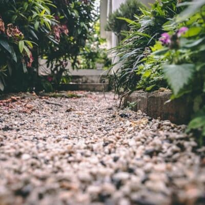 Low down photo of a gravel path in a garden