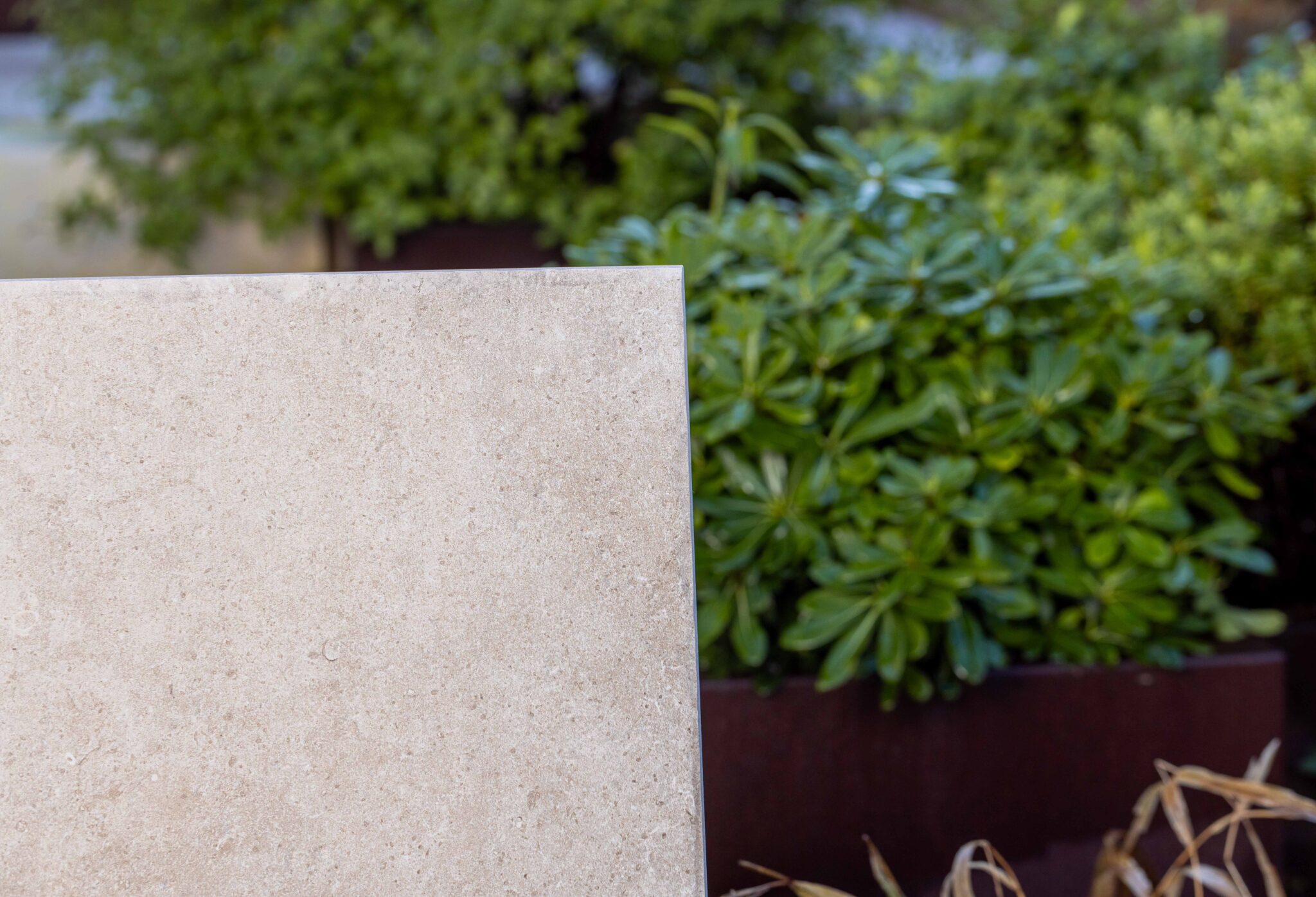 Portico Bella Cream Blend Premium Porcelain - Image 4